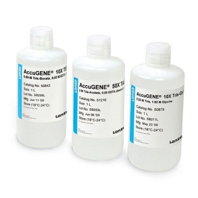 AccuGENE&reg; 10X PBS
