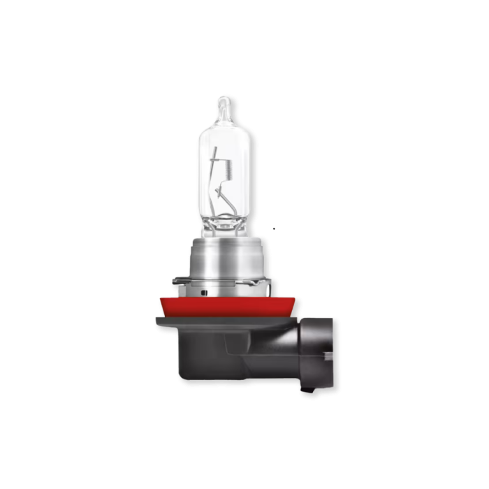 12V H9 65W PGJ19/5 Halogen Bulb