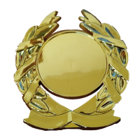 Tailteann Trim to suit 50mm Disc