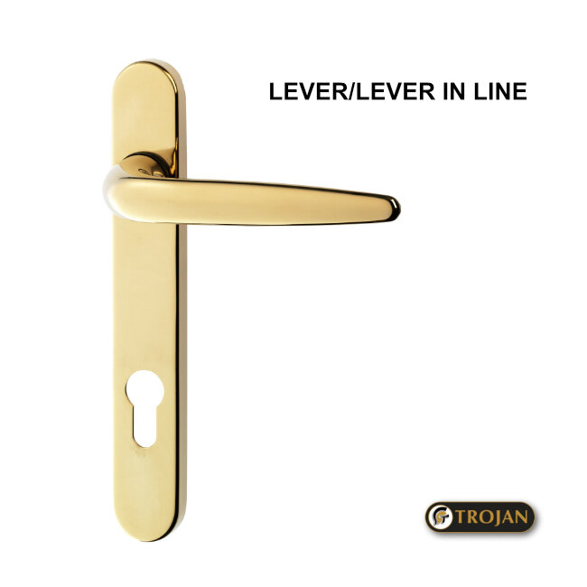 COMBI DOOR HANDLE L/L INLINE GOLD SBP