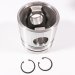 PISTON BODY C/W CLIPS (3017349)
