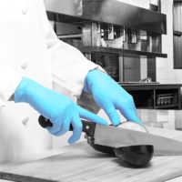 Bodyguard GL895 Nitrile Powder Free Glove (100's)