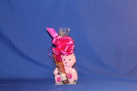 CELLO B.B BIO DEG BAGS W/BASE 210X400MM (100)