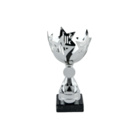 16cm Glenfarne Star Cup