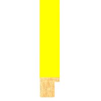 Yellow Fluorescent