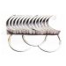 MAIN & THRUST BEARING SET STD
