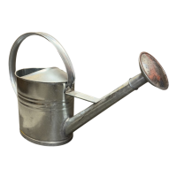 Galvanised Watering Can