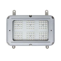 Zone 2 Bulkhead Light - Intelligent Emergency
