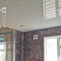 NEPTUNE CEILING CLAD 250MMX2.7M PK4