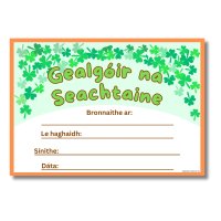R&R A5 Reward Certificates - Gealgoir na Seachtaine Award (24)
