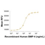Protein, Recombinant Human BMP-4 Protein, 50 &micro;g