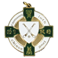 34mm Hurling Medal (Gold / Green)