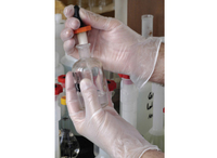 Vinyl Disposable Glove Lightly Powdered Clear (Box 100)