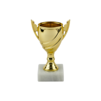 13cm Gold Plastic Cup Trophy (V202)