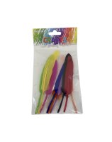 Mixed Quill Feathers 12-15cm (10 piece)