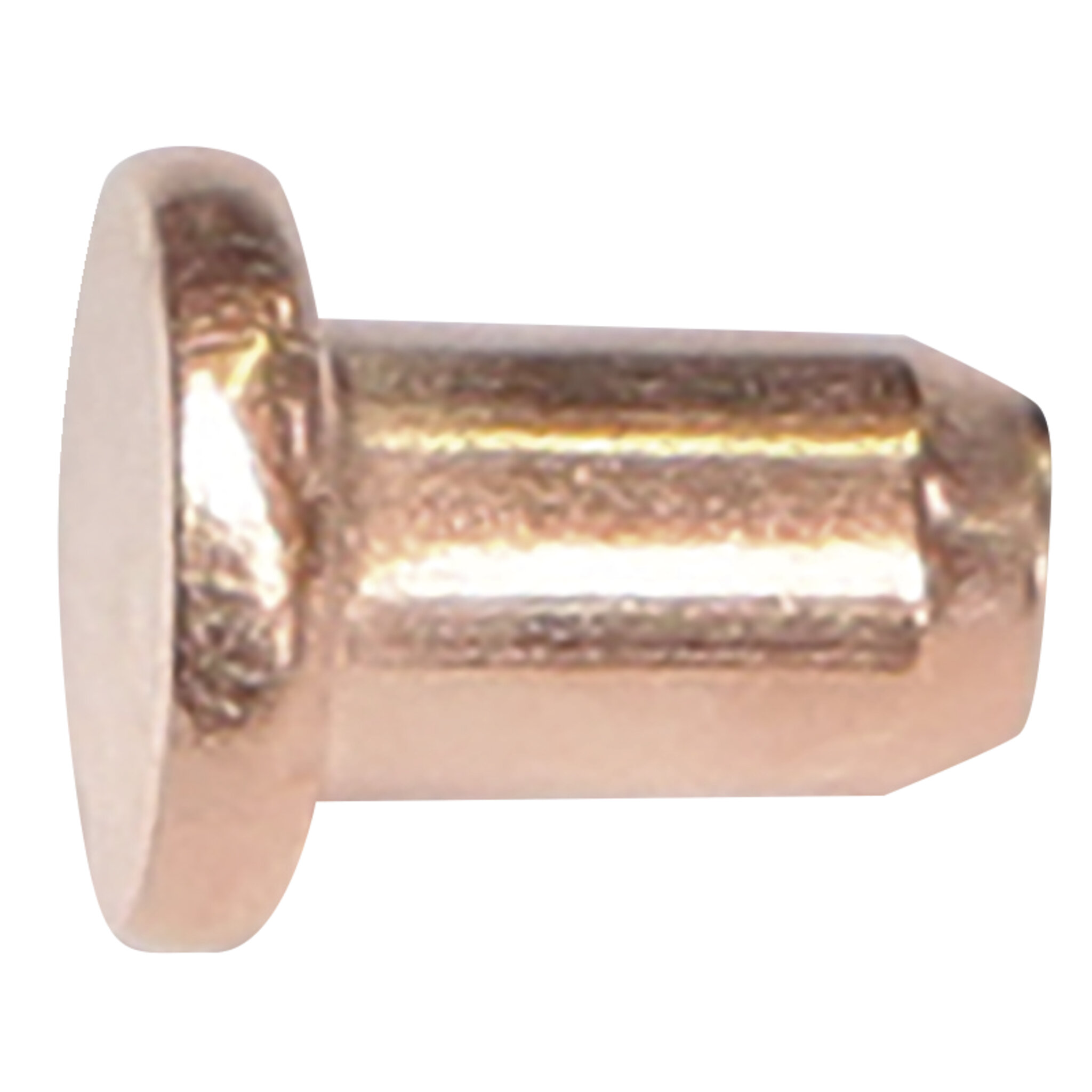 100 RIVETS  3X4,5