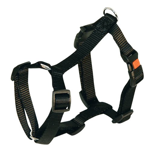 Harness 50 - 62cm | Black