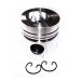 PISTON BODY C/W CLIPS