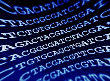 Next Generation Sequencing (NGS)
