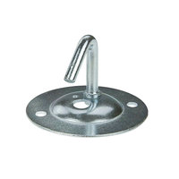 Steel Hook Plate