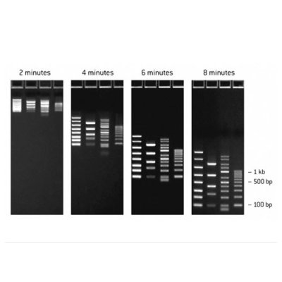FlashGel&reg; DNA Marker 100bp-3kb 500ul