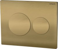  Wirquin Lunar Dual Flush Plate (Cable Operated) Brushed Brass