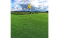 HG.3 - FESCUE BENT 80:20 GREENS GRASS SEED MIX