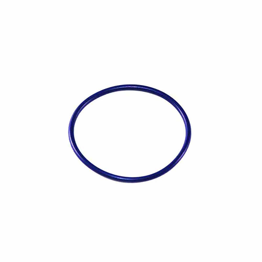 SEAL INJECTOR O-RING