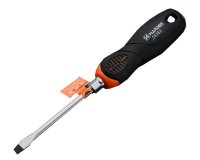 Harden 550381 5 x 100 MM PRO HEX CR-V Reinforced Screwdriver