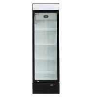 Blizzard Glass Door Merchandiser GD350 Single Door