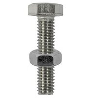 Hex Head Bolt and Nut Stainless Steel M10 x 100 Pack of 2