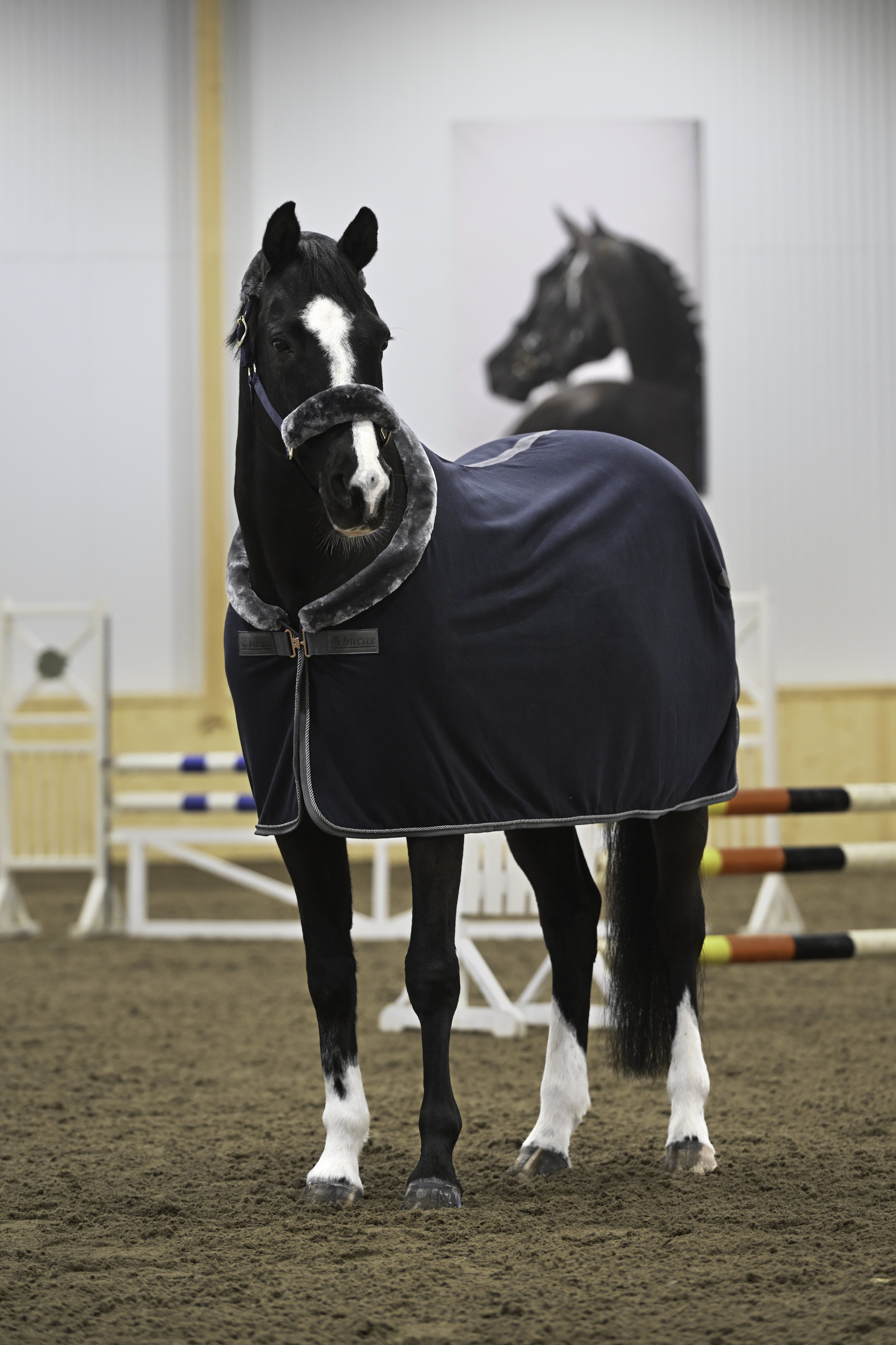 Show-Line Fleece 400 165 Navy/Gr