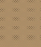 CONTESSA DUET GOLD/BROWN 4M