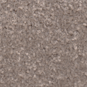 APOLLO PLUS 5M TOASTED ALMOND