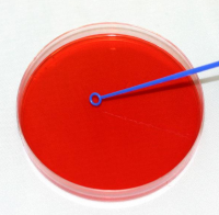 Loops Microloop Plastic 10ul Blue Ind Wrapped ST PK250