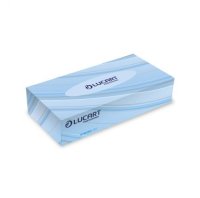 Lucart Strong White Facial Tissues 100 sheets x 36