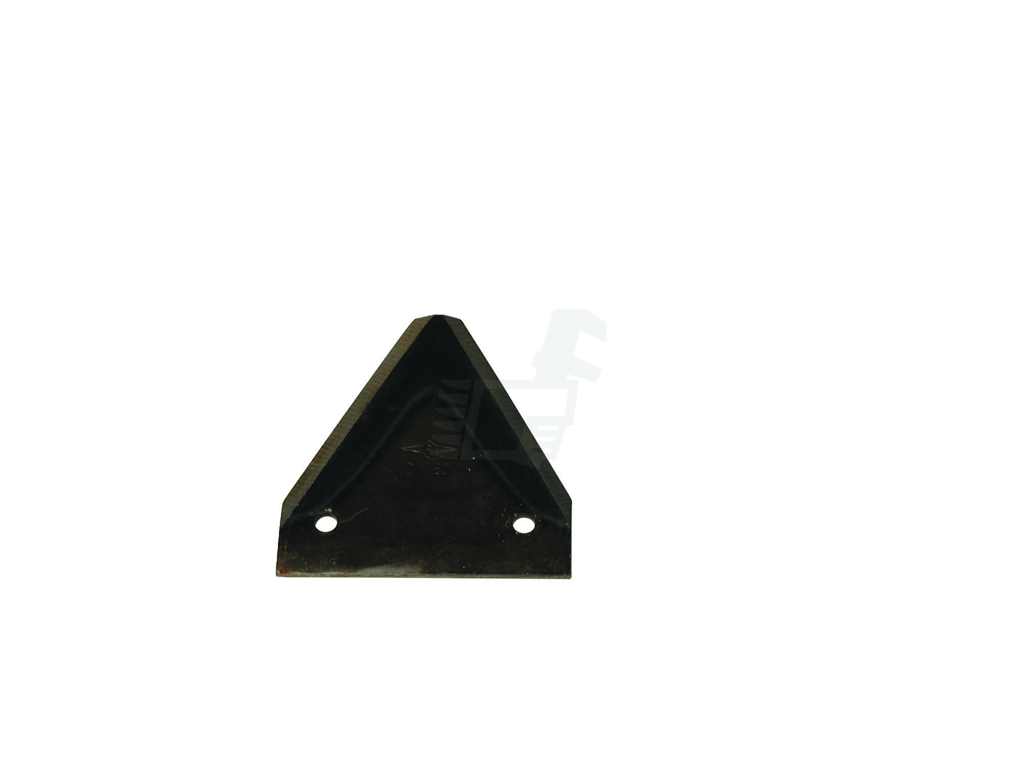 SECTION