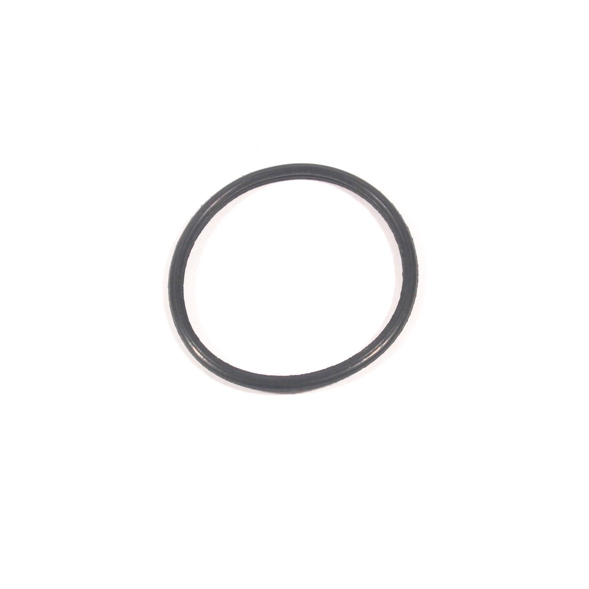THERMOSTAT SEAL