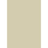 Farrow & Ball Bone Colour Swatch