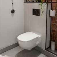 Geberit Wall Hung WC Pack - Selnova Pan & Duofix Delta Frame  4-in-1 501.750.00.1KIT