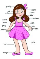 Poster - Body Girl (Irish)