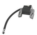 Coil 100602 Briggs
