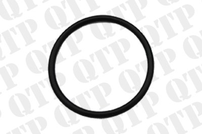 Transmission Valve O-Ring