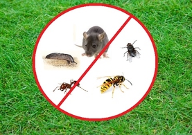 Pest & Weed Control