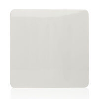 TRENDI SINGLE BLANK PLATE WHITE