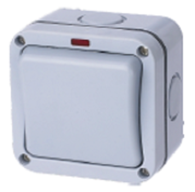 POWERTECH 1 GANG 2 WAY IP66 SWITCH   ( BOX 50 ) | EXSW/1