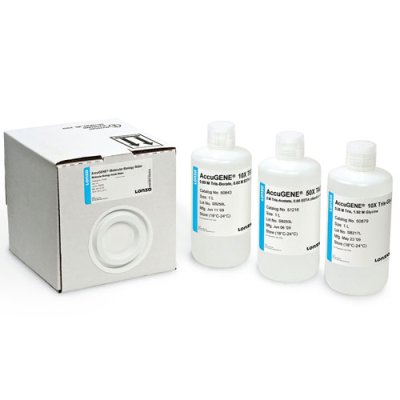 AccuGENE&reg; Water, MolBio