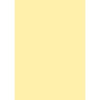 Farrow & Ball Dayroom Yellow No.233 Colour Swatch