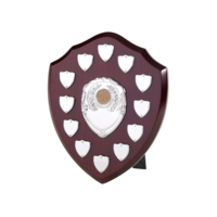 25cm Swatkins Shield with 12 Date Placings