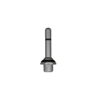 Buckeye Valve Stem